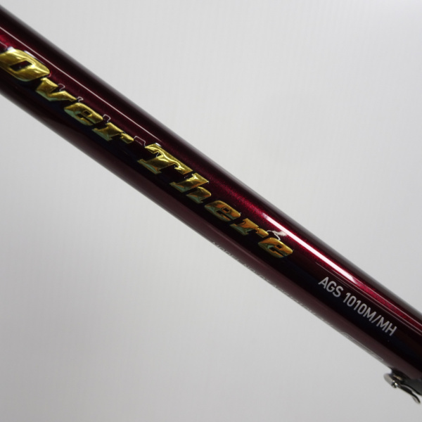 21オーバーゼアAGS 1010M/MH